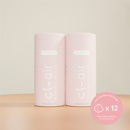 Formaldehyde remover in Singapore